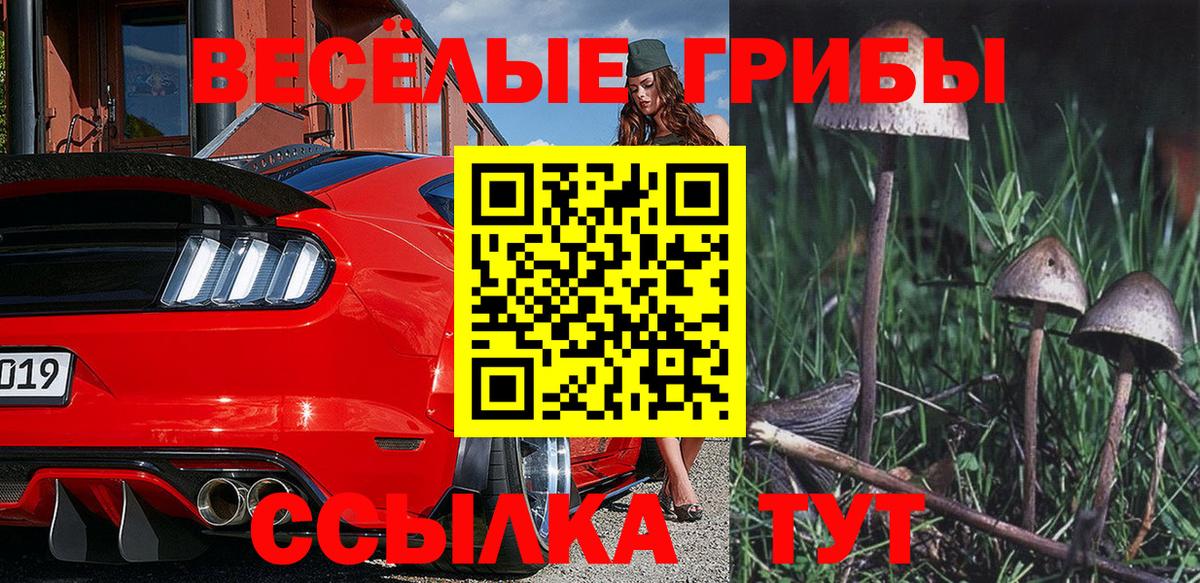 Псилоцибиновые грибы Magic Shrooms  Галлюциногенные грибы ЛСД  Домодедово  Вход с VPN 